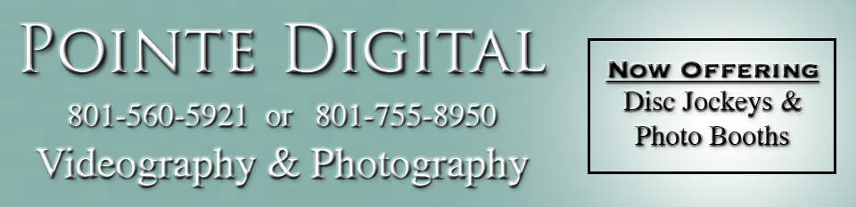 Pointe Digital logo