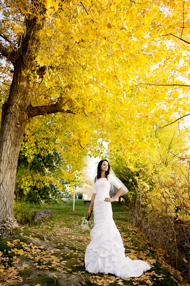 Utah Bridal Pictures fall colors yellow tree